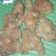 Cooksnap dari Nata Mufidah untuk resep Ayam Goreng Crispy KaeFCi (simple)