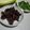 Cooksnap dari Asti Amalia untuk resep Sapi Goreng Asam