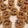Cooksnap dari Afifa Fitia untuk resep Mini choco pie cookies