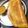Suchitra S(Radhika S)'s cooksnap of when they made Moongdal Palak Dosa.
