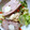 El cooksnap de Virginia Santos Sánchez cuando hizo Pastel de pollo frío.