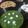 Nilam Piyush Hariyani's cooksnap of when they made આલુ-પાલક અને પરોઠા.