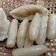 Cooksnap dari riyani ermawati untuk resep Pempek Dos empuk