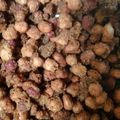 Cooksnap dari Wiwinbin Salma untuk resep Kacang Disco simpel a la Mommy Lucky