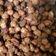 Cooksnap dari Wiwinbin Salma untuk resep Kacang Disco simpel a la Mommy Lucky