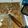 El cooksnap de Verito cuando hizo Galletitas de coco delicia.