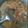 Cooksnap dari Shiezqa Chiqa untuk resep Tongseng ayam