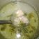 Cooksnap dari Amik untuk resep Kuah bakso ala abang abang