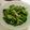 Sophie廚坊 的 蒜炒菠菜金滑菇 cooksnap