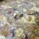 El cooksnap de Maurice Colmener cuando hizo Sopa de champiñones y pan.
