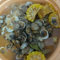 Cooksnap dari Aryani Rahmawati Ali untuk resep Kerang dara saus padang