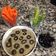 El cooksnap de Manuel Castañeda cuando hizo Hummus con aceitunas negras.
