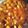 El cooksnap de DelicIANNcook cuando hizo Pollo al curry.