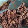 Cooksnap dari Yusuf Nilam untuk resep 1. Rendang Asli Bukittinggi