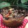Cooksnap dari Adriana Endang Triningsih untuk resep Beef Teriyaki ala Hokben