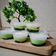 Cooksnap dari Luph Ie untuk resep Jongkong Bangka