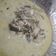 Cooksnap dari Ferda Nia untuk resep Gulai Jantung Pisang #Bandung_RecookConySeptiani