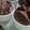Cooksnap dari Yunisa Ryanti untuk resep Brownies Kukus Mekar Ny. Liem