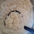 El cooksnap de Nancy Hoyos cuando hizo Arroz con leche casero.
