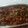 El cooksnap de Pamela Gonzalez cuando hizo Espaguetis al perejil con dados de cerdo en salsa de tomate.