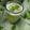 Nazia Parveen's cooksnap of when they made Grapes Juice.