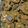 bighank's cooksnap of when they made Peanut Butter Pumpkin Cookies EASY.