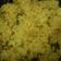 Cooksnap dari Arry Marchilda untuk resep Nasi kuning ambon - the series - nasi kuning