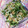 pamelarochelle's cooksnap of when they made Cucumber Salad Top Peanut.