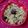 Piyu Savani's cooksnap of when they made સપ્રાઉડેટ પુલાવ(spourt pulav in Gujarati recipe).