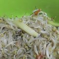 Cooksnap dari Mama Justin untuk resep 23.1~ Tumis Toge (+ ikan asin bulu ayam)