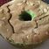 Cooksnap dari QQ untuk resep Pandan Chiffon Cake yang Lembuutt