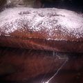 redheadchef's cooksnap of when they made Cranberry Cream Cheese Cake.