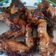 Cooksnap dari diva untuk resep Chicken Wings rasa Pizza hut