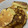 El cooksnap de Lucia Silvestri cuando hizo Hot cakes con banana, manzana y arándano.