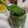 El cooksnap de Lou Tom cuando hizo Pesto.