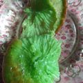 Cooksnap dari wu_Landd untuk resep Kue Cucur Pandan