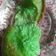 Cooksnap dari wu_Landd untuk resep Kue Cucur Pandan