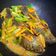 Cooksnap dari Wenny Wulandarie untuk resep Ikan nila acar kuning