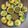 Koriya Parul's cooksnap of when they made રગડા પૂરી (Ragda Poori Recipe In Gujarati).