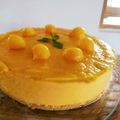 El cooksnap de Bibi García cuando hizo Pay de mango sin horno.