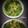 Disha D'Souza's cooksnap of when they made পালং শাক ভাপা (Palong shak bhapa recipe in Bengali).