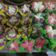 Cooksnap dari Shegie Suly untuk resep Bolu Kukus Mekar Ekonomis