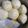 Cooksnap dari Lindawati Pickwick untuk resep Liu Sha Bao (Melting Gold)