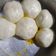 Cooksnap dari Lindawati Pickwick untuk resep Liu Sha Bao (Melting Gold)