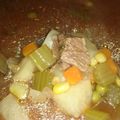 Álvarez, Luïs David 's cooksnap of when they made Country Beef Vegetable Soup.