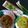 Parul Patel's cooksnap of when they made અડદ દાળ (Urad Dal Recipe In Gujarati).