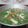 Cooksnap dari Retno Widowati untuk resep Sop Ikan Gurame