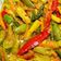 Cooksnap dari Waty untuk resep Acar Kuning