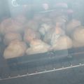 El cooksnap de Estter Lazarte cuando hizo Bombas de crema pastelera.