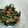 Cooksnap dari Amanah untuk resep .: Urap Urap Sayuran :.